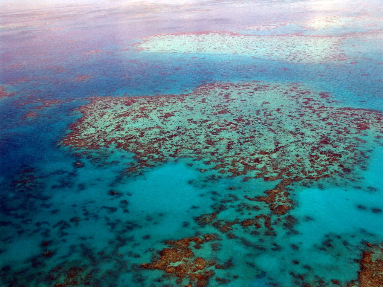 Great Barrier Reef 7 wonders of australia